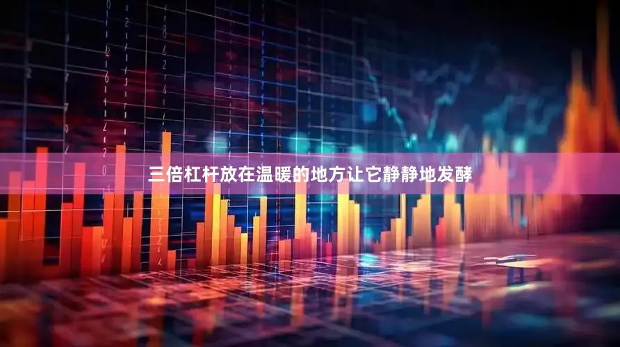 三倍杠杆放在温暖的地方让它静静地发酵