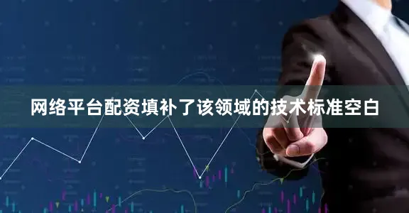 网络平台配资填补了该领域的技术标准空白