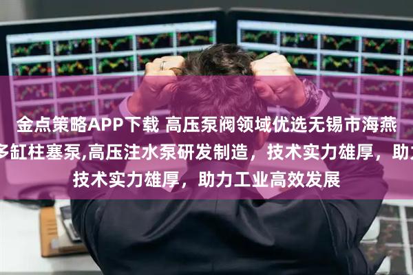 金点策略APP下载 高压泵阀领域优选无锡市海燕，专注试压泵,多缸柱塞泵,高压注水泵研发制造，技术实力雄厚，助力工业高效发展